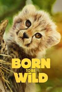 Born to Be Wild (2025)